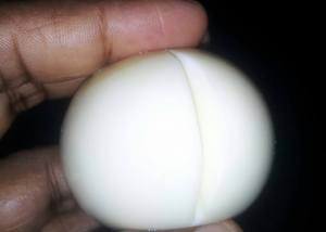 slit on the boiled Egg 