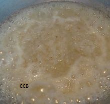 14088924_1189237204451221_1343594111_n